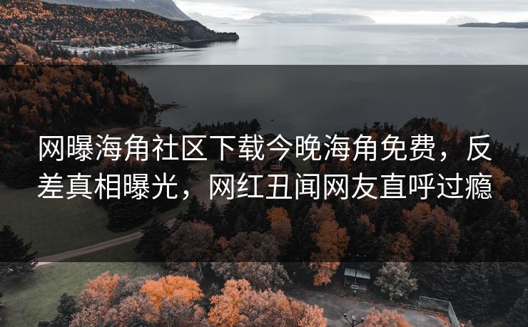 网曝海角社区下载今晚海角免费，反差真相曝光，网红丑闻网友直呼过瘾