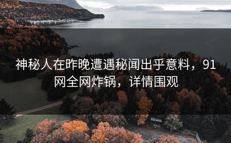 神秘人在昨晚遭遇秘闻出乎意料，91网全网炸锅，详情围观