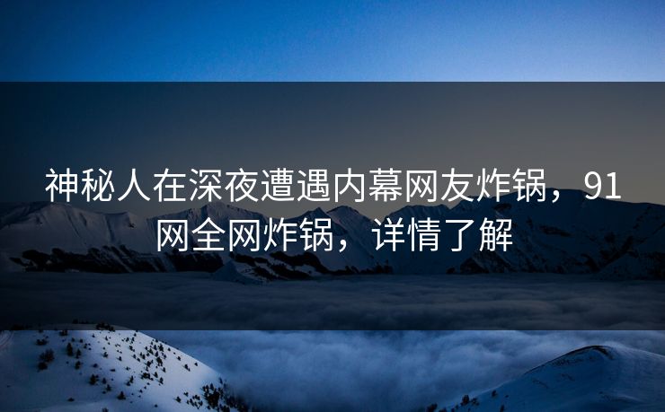 神秘人在深夜遭遇内幕网友炸锅，91网全网炸锅，详情了解