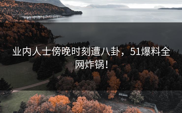 业内人士傍晚时刻遭八卦，51爆料全网炸锅！