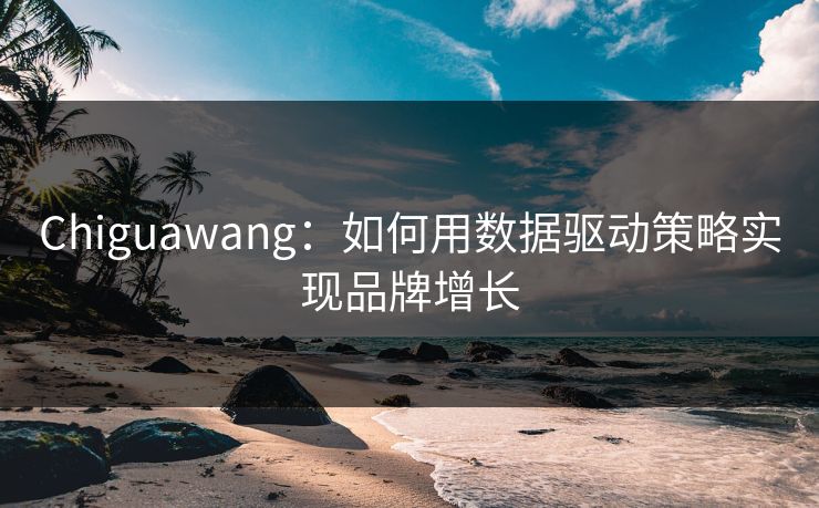 Chiguawang：如何用数据驱动策略实现品牌增长