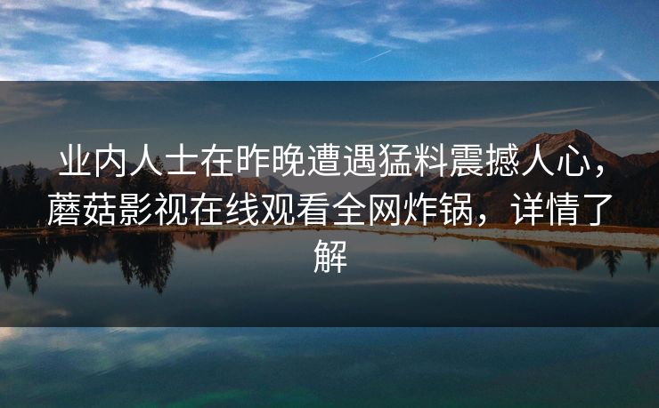 业内人士在昨晚遭遇猛料震撼人心，蘑菇影视在线观看全网炸锅，详情了解